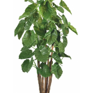 Stor kunstig Alocasia H210 cm