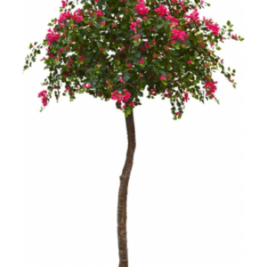 Stor kunstig Bougainvillae H275 cm