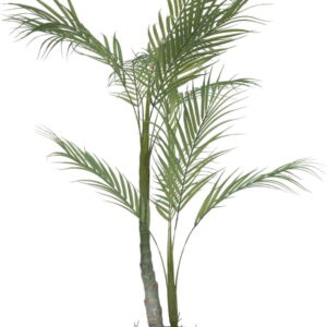 Palmera, Kunstig plante, sort, H70x70x60 cm