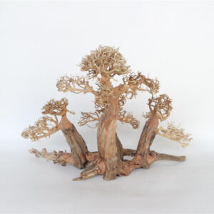 Naturligt Bonsai Træ 60x40cm