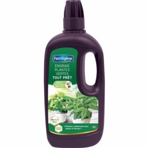 Organisk gødning Fertiligène Green Plant 1 L